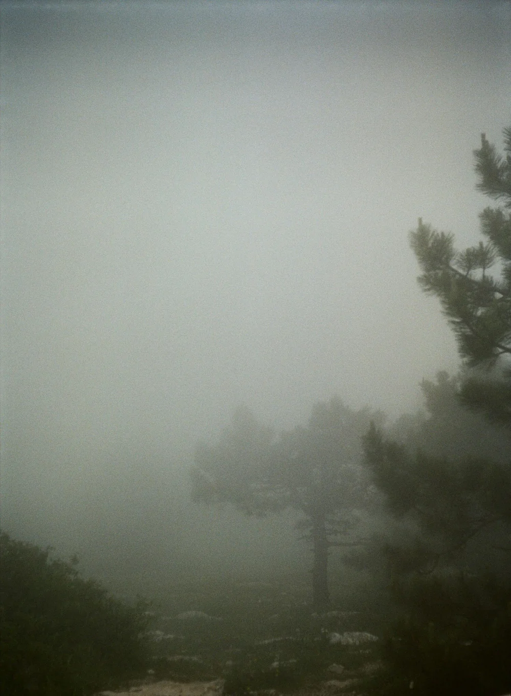 مرثیهای برای سکوت